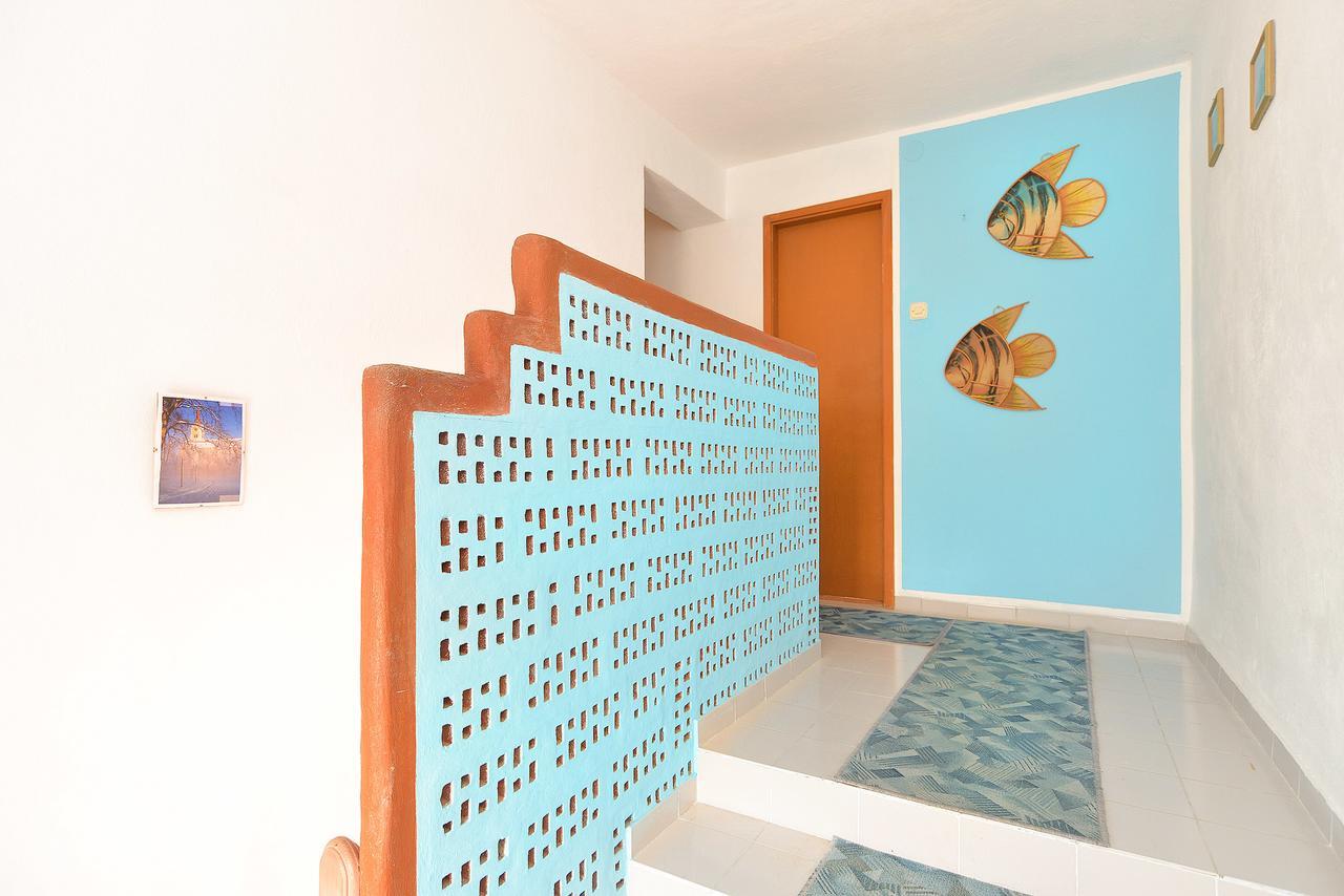 Apartments Stjepan 725 法扎纳 外观 照片